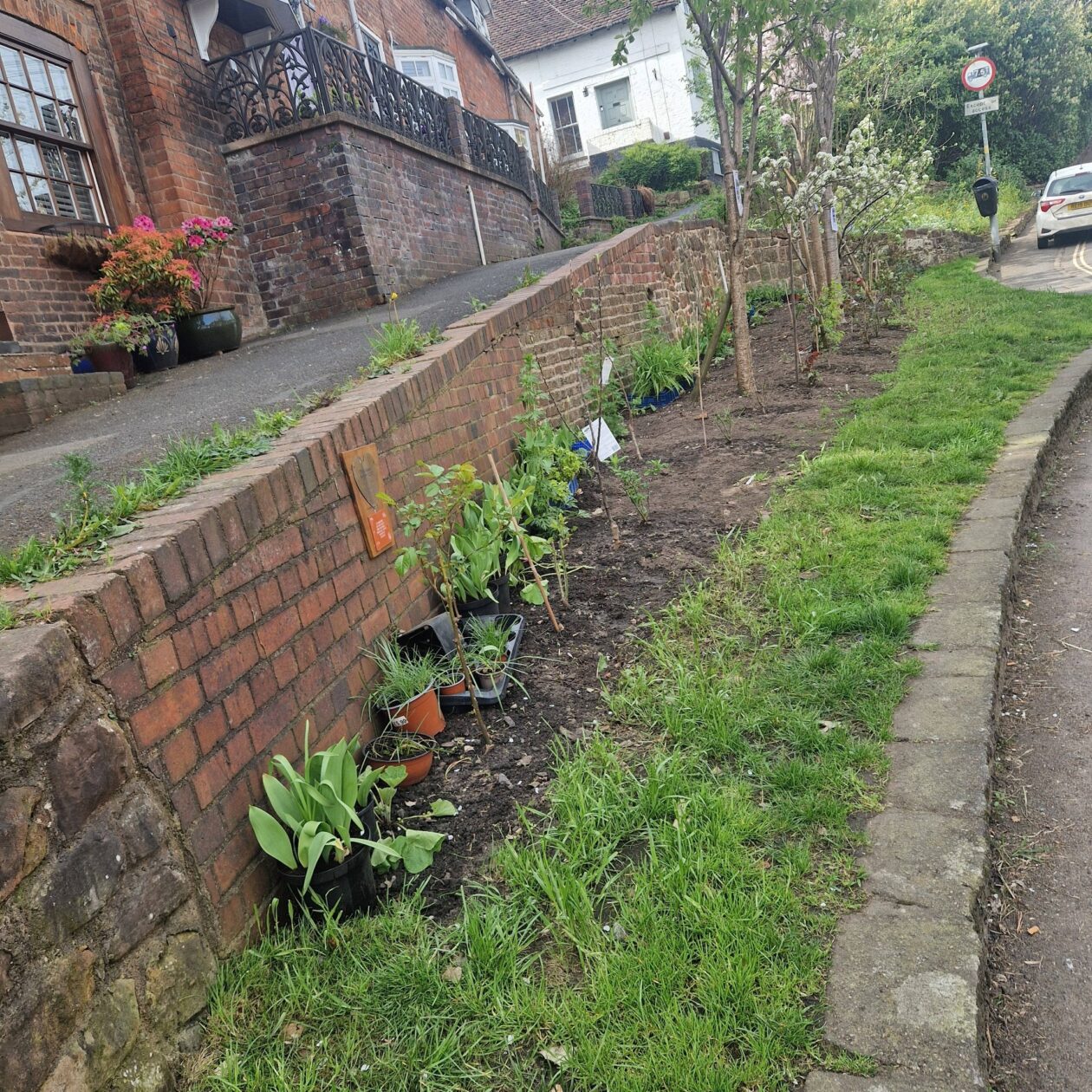 Welch Gate Community Garden